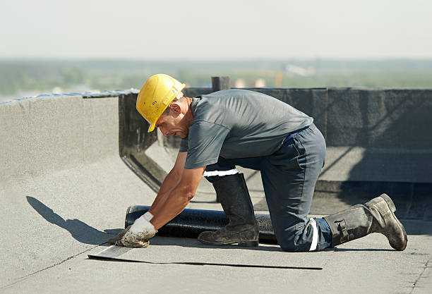 Best Energy Efficiency Insulation in Magnolia Springs, AL